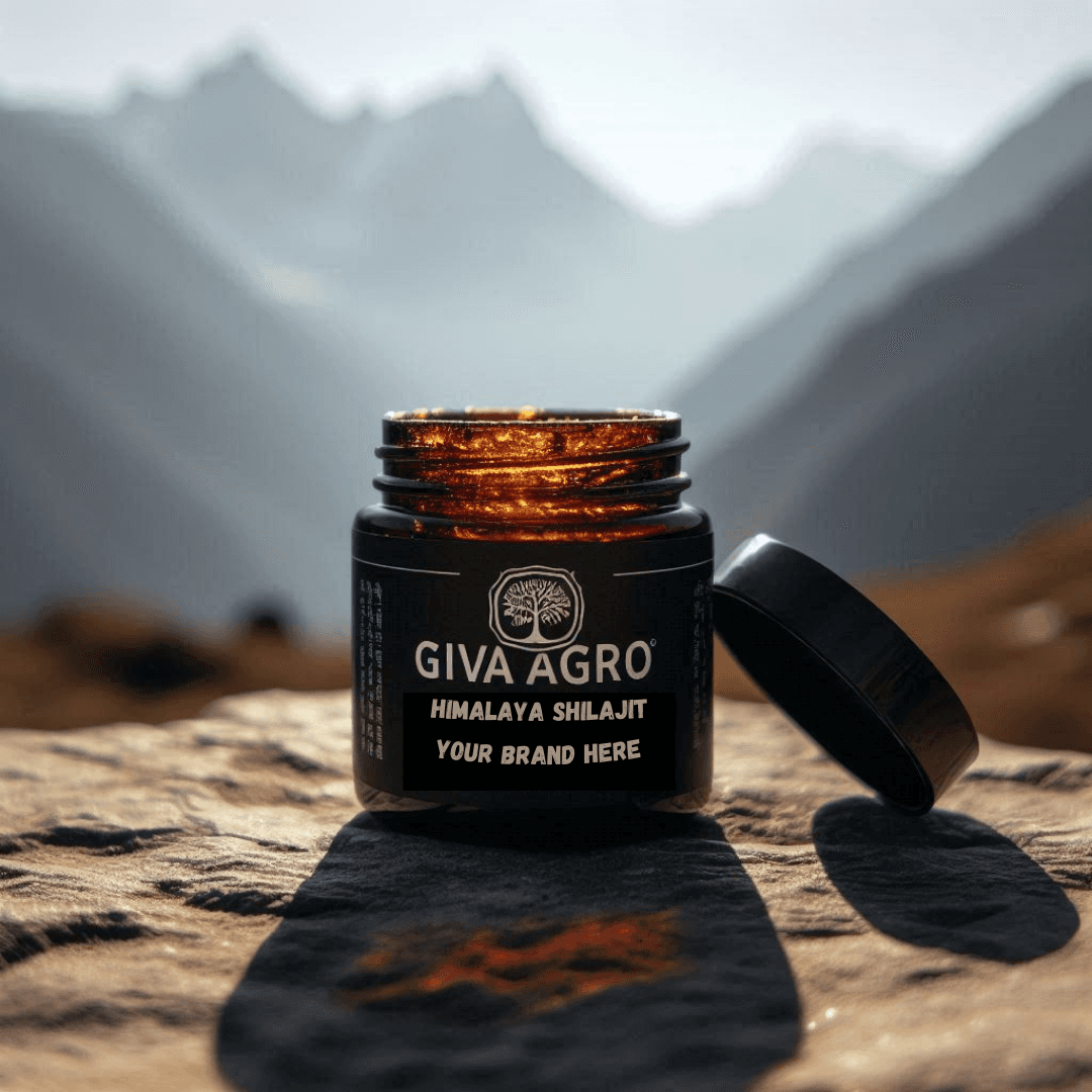 Shilajit Resin
