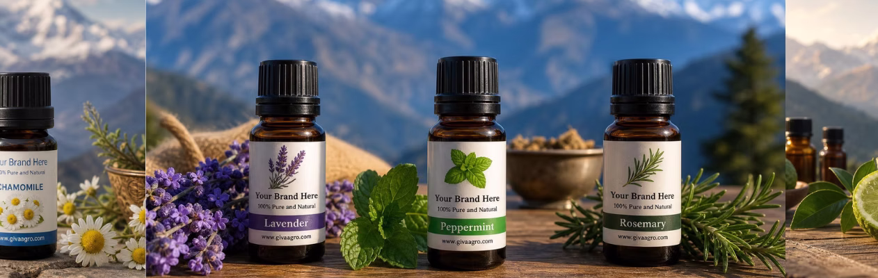 Ayurvedic infused oils and botanical macerations