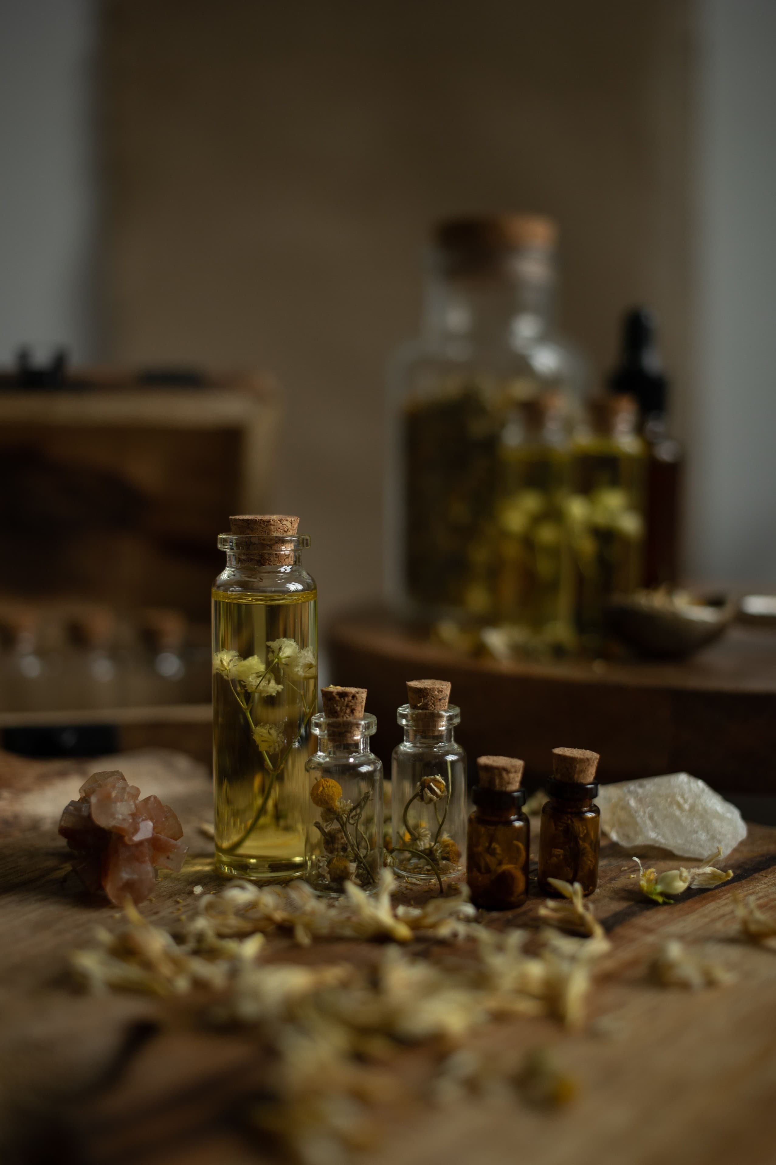 Herbs and infused oil