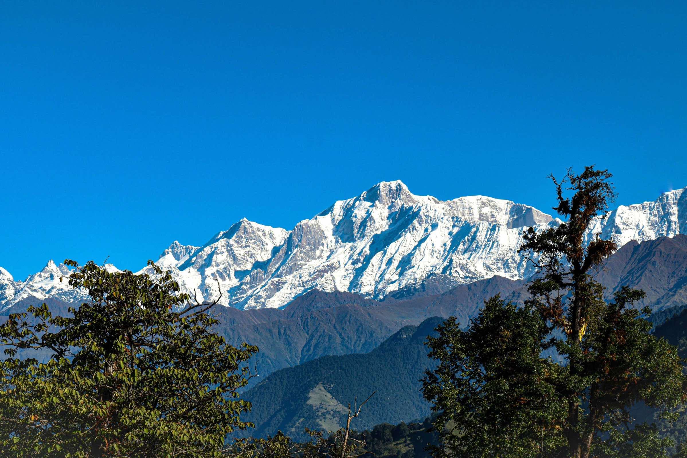 Himalayan botanical plantation